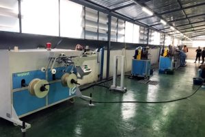 EMS-55 TPV Car Gasket Dual Type Machine Line