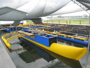 Boat Shape Made From 800mm PE Pipe