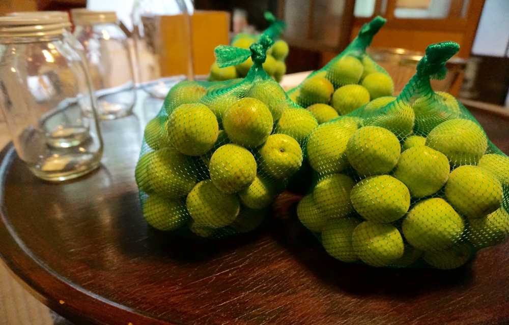 Fruit-Net